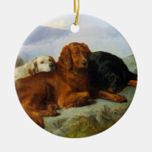 Golden Retriever, Irlandês e Gordon Setter Enfeite