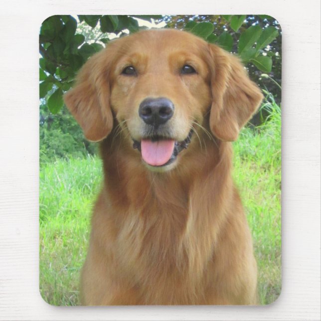 Golden retriever Maia Mousepad bonito (Frente)