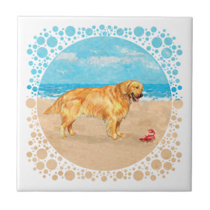 Golden Retriever na Praia