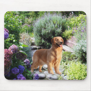 Golden retriever no jardim Mousepad