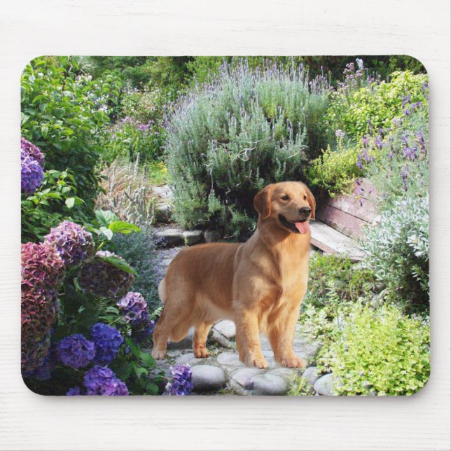 Golden retriever no jardim Mousepad (Frente)