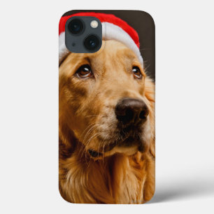 Golden retriever que levanta para seu Natal