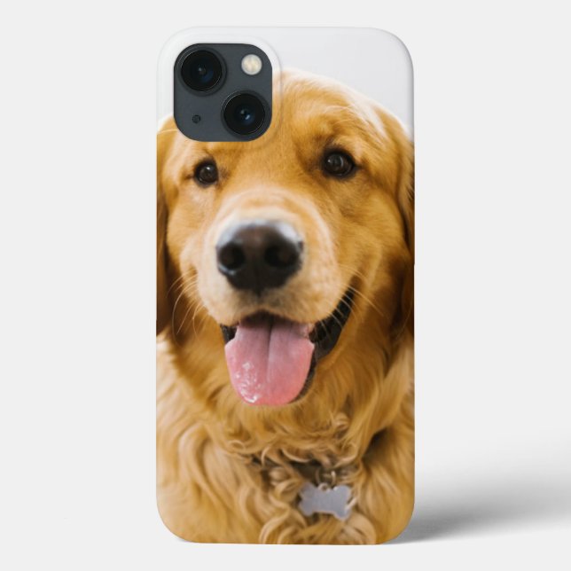 Golden Retriever Smiling (Verso)
