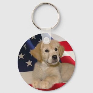 Golden retriever todo o chaveiro americano do