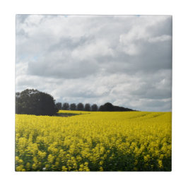 Golden Waves of Streatham