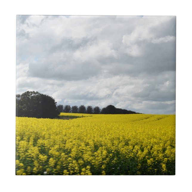 Golden Waves of Streatham (Frente)