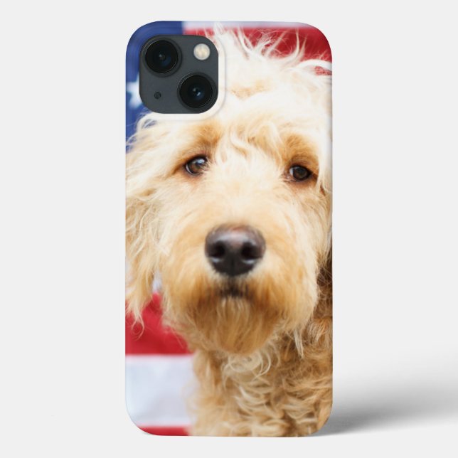 Goldendoodle com bandeira americana (Verso)