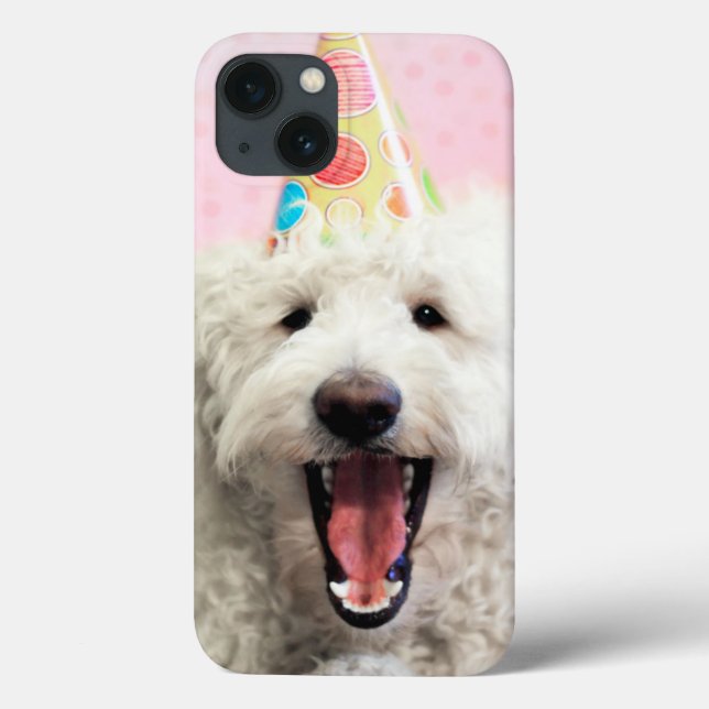 Goldendoodle With Party Hat (Verso)
