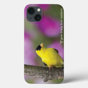 Goldfinch