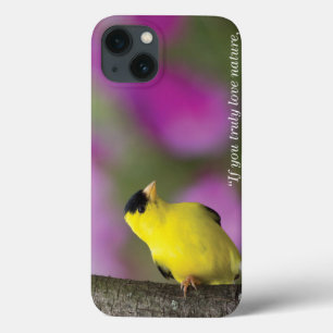 Goldfinch
