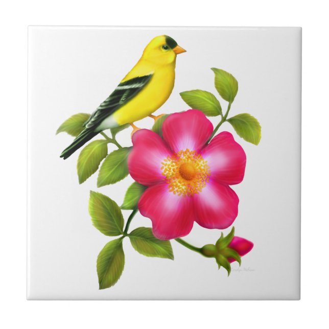 Goldfinch americano no azulejo cor-de-rosa (Frente)
