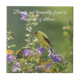 Goldfinch em uma Flor Harebell