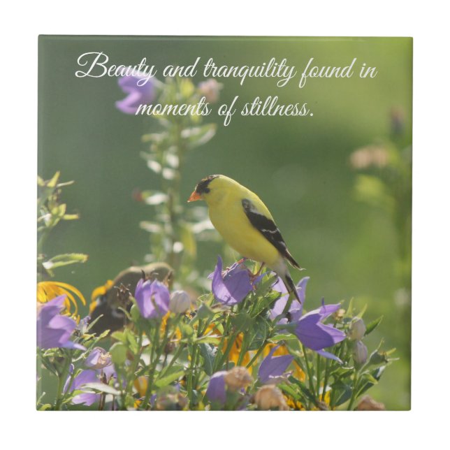 Goldfinch em uma Flor Harebell (Frente)