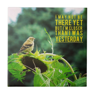 Goldfinch Mais Próximo Do Que Eu Era Ontem Positiv