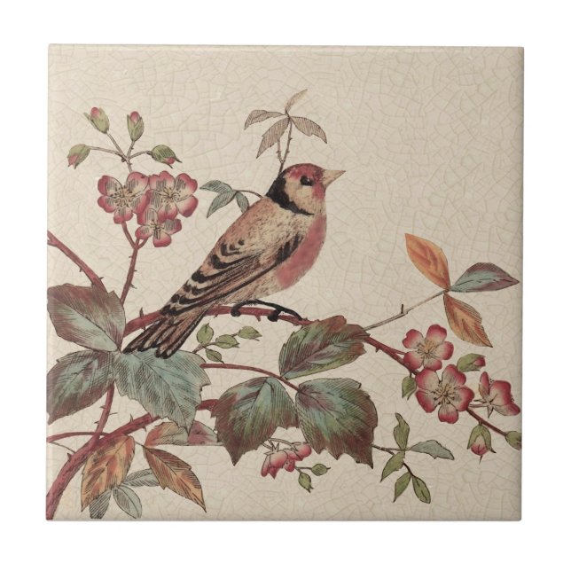 Goldfinch Polychrome Staffordshire Repro Antique (Frente)