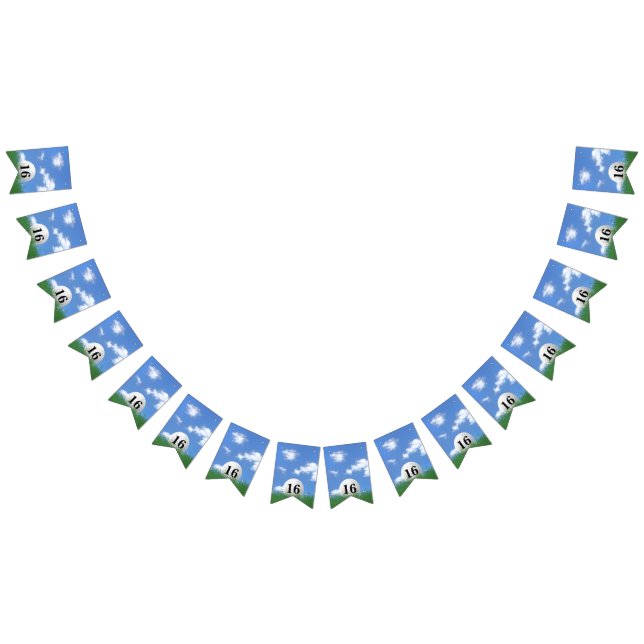 Golf Ball para Bandeiras Bunting do 16.º aniversár (Todos)