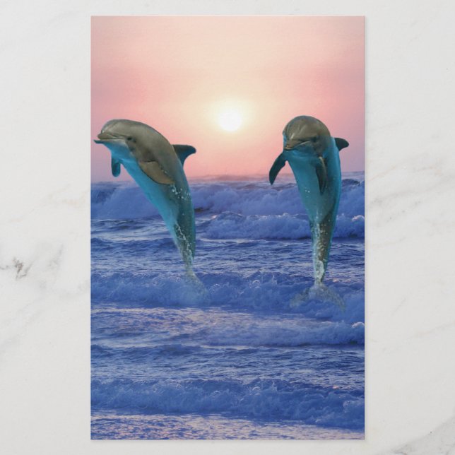 Golfinho de Gargalos no nascer do Sol (Frente)