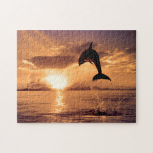 Golfinho no Sunset, Quebra-cabeça do Jigsaw