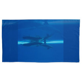 Golfinhos e reflexões