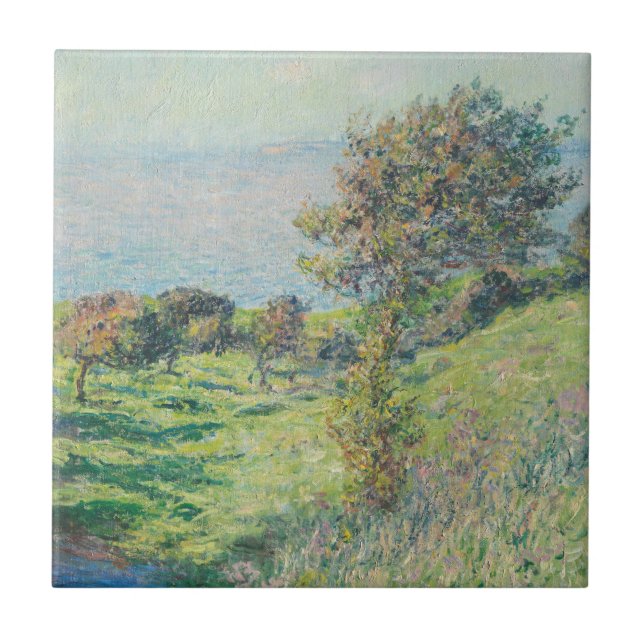 Golpe de Respiradouro | 1881 (Frente)