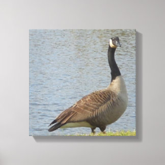 Goose by Pond Canvas Art
