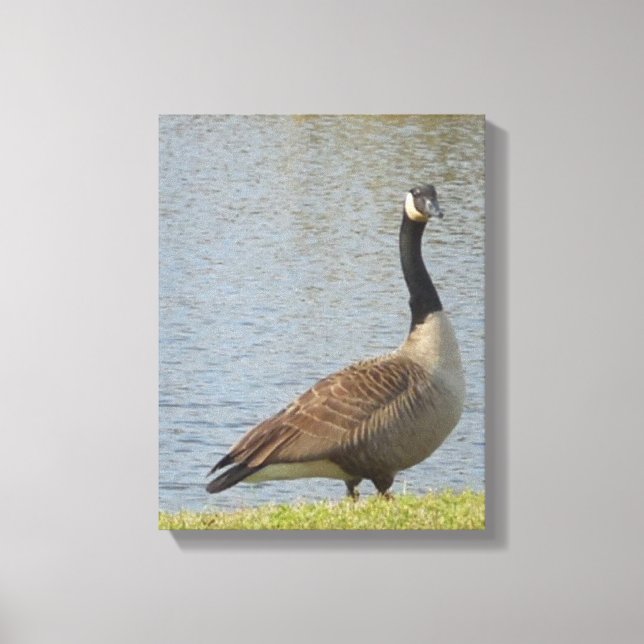 Goose by Pond Canvas Art (Frente)