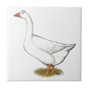 Goose Roman Tufted