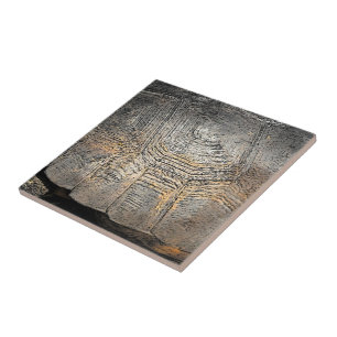 Gopher Tortoise Shell Design