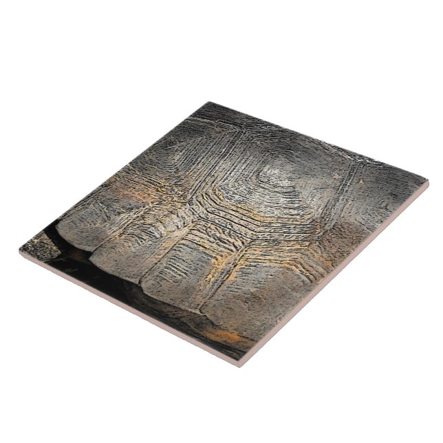 Gopher Tortoise Shell Design (Lateral)