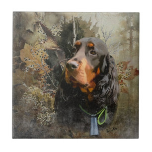 Gordon Setter