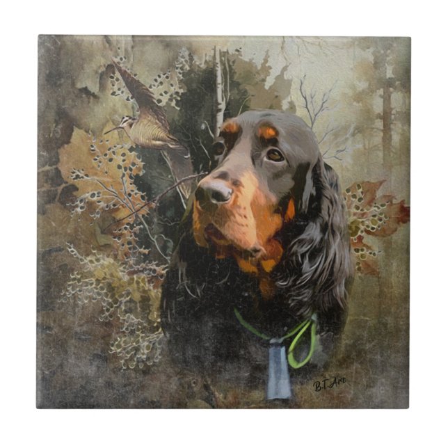 Gordon Setter (Frente)
