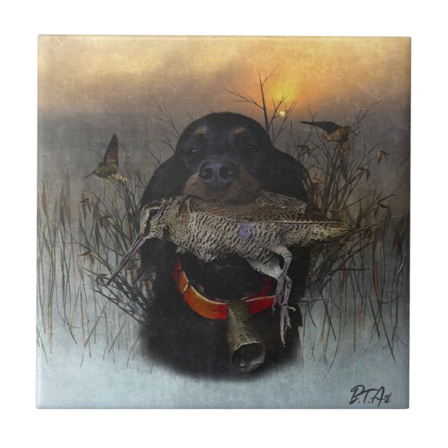 Gordon Setter (Frente)