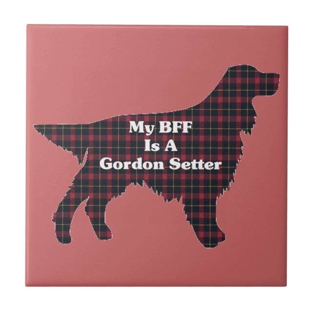 Gordon Setter BFF (Frente)
