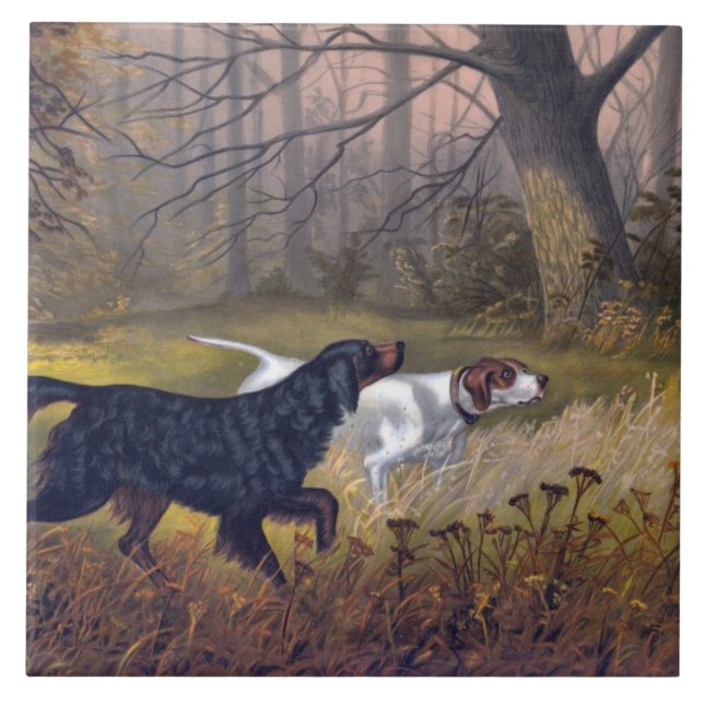 Gordon Setter em Point (Frente)