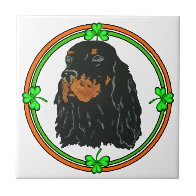 Gordon Setter St Patricks (Frente)