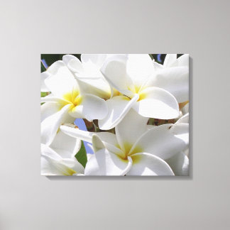 Gorgeous Plumeria Canvas