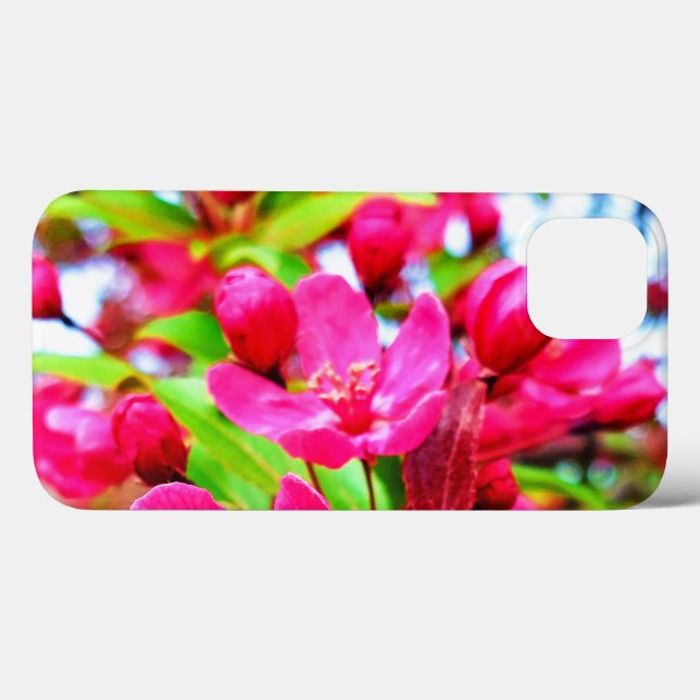Gorgeous Red Barron Crabapple Foto (Verso (horizontal))