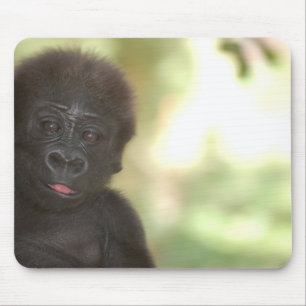 Gorila Mousepad do bebê