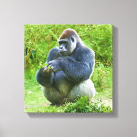Gorilla Canvas