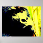 Gorilla Face Pop Art Poster Impressão. Posters de<br><div class="desc">Pop de Gorilla Head Art Fotografia Digital Trabalho de arte - Animais Selvagens Imagens de Gorilas de Montanha - Gorila de Montanha Olhar Fechado - Primatas Trabalho de arte</div>