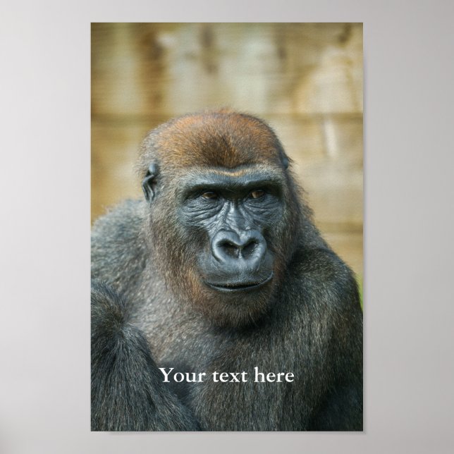 Gorilla Lope Poster (Frente)