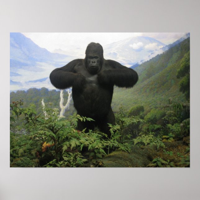 Gorilla Poster (Frente)
