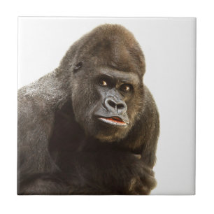 Gorilla Pout