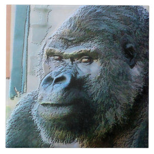 GORILLAS