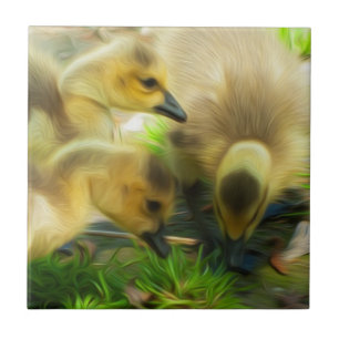 Gosling