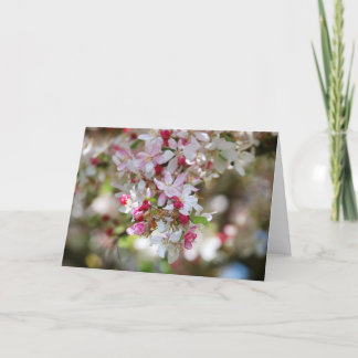 gota do cartão de vazio de beleza