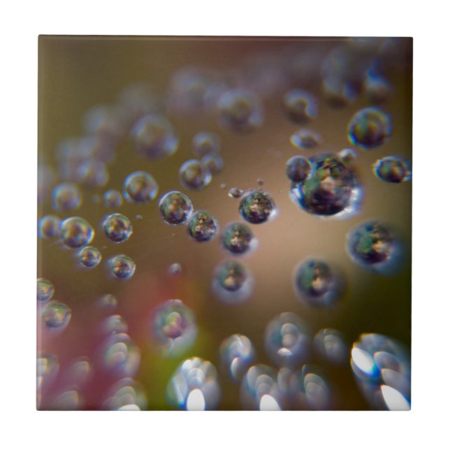 Gotas de água em movimento (Frente)