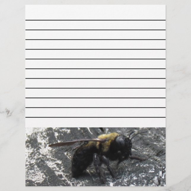 Gotas de chuva (Frente)