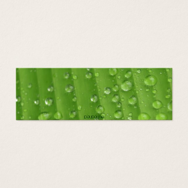 gotas de chuva (Frente)
