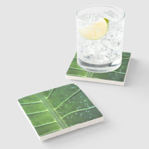 Gotas de Folha e Água Porta copos de Pedra